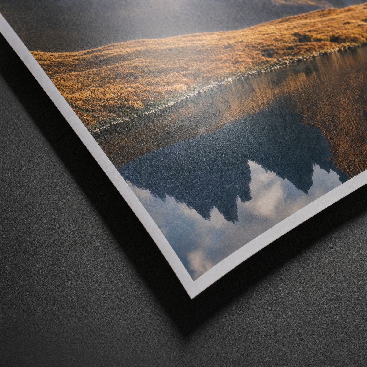 Stampe fotografiche premium